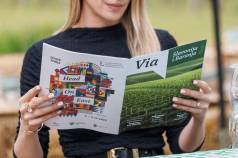 Mario Urki Horizont Solutions 227